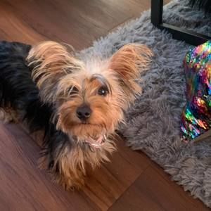 Meet your Posher, Tamara